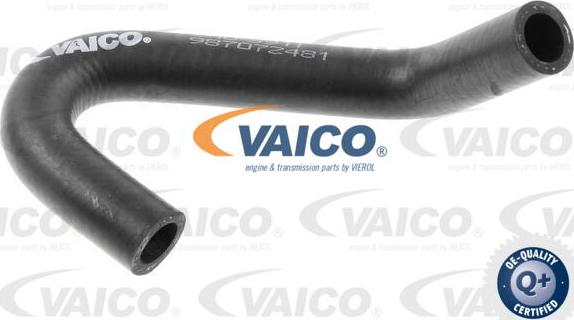 VAICO V10-3911 - Radiator şlanqı furqanavto.az