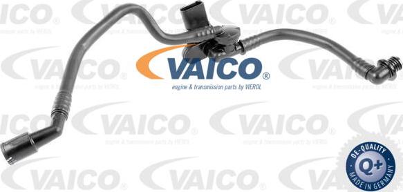 VAICO V10-3629 - Vakuum şlanqı, əyləc sistemi furqanavto.az