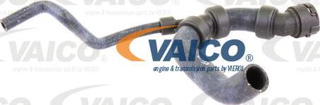 VAICO V10-3195 - Radiator şlanqı furqanavto.az