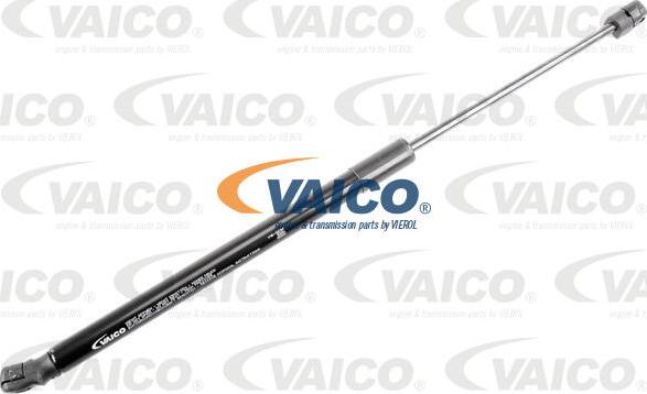 VAICO V10-3238 - Qazlı bulaq, baqaj, yük yeri furqanavto.az