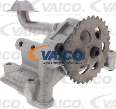 VAICO V10-3724 - Yağ nasosu furqanavto.az