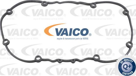 VAICO V10-2558 - Conta, silindr baş örtüyü furqanavto.az