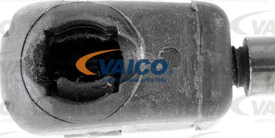 VAICO V10-2073 - Qaz bulaq, kapot furqanavto.az