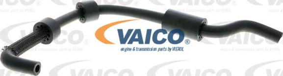 VAICO V10-2800 - Radiator şlanqı furqanavto.az