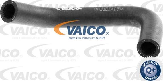 VAICO V10-2814 - Radiator şlanqı furqanavto.az