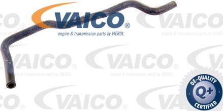 VAICO V10-2815 - Radiator şlanqı furqanavto.az