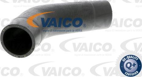 VAICO V10-2888 - Doldurucu qəbuledici hava şlanqı furqanavto.az