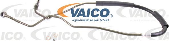 VAICO V10-2305 - Hidravlik şlanq, sükan sistemi furqanavto.az