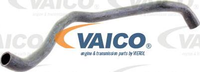 VAICO V10-2734 - Radiator şlanqı furqanavto.az