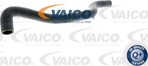 VAICO V10-2738 - Radiator şlanqı furqanavto.az