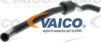 VAICO V10-2737 - Radiator şlanqı furqanavto.az