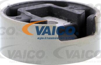 VAICO V10-7542 - Tutacaq, mühərrik montajı www.furqanavto.az