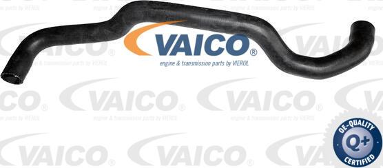 VAICO V10-7563 - Radiator şlanqı furqanavto.az