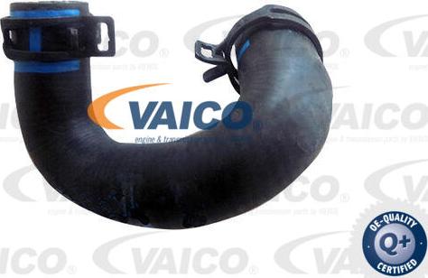 VAICO V30-4012 - Radiator şlanqı furqanavto.az