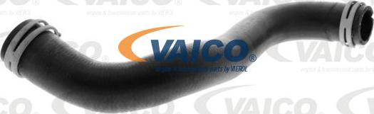 VAICO V30-4231 - Radiator şlanqı furqanavto.az