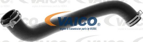 VAICO V30-4232 - Radiator şlanqı furqanavto.az