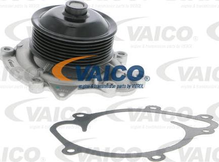 VAICO V30-50059 - Su nasosu furqanavto.az