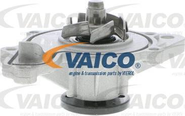 VAICO V30-50055 - Su nasosu furqanavto.az