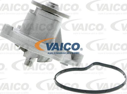 VAICO V30-50056 - Su nasosu furqanavto.az