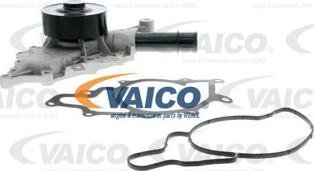 VAICO V30-50058 - Su nasosu furqanavto.az
