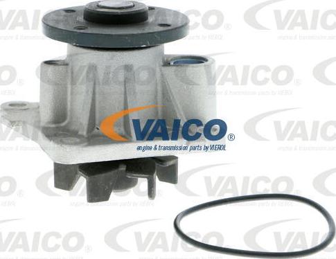 VAICO V30-50064 - Su nasosu furqanavto.az