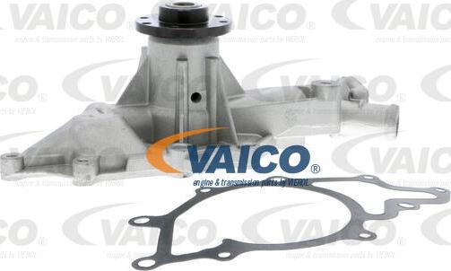 VAICO V30-50065 - Su nasosu furqanavto.az