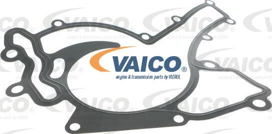 VAICO V30-50061 - Su nasosu furqanavto.az