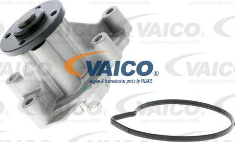 VAICO V30-50005 - Su nasosu furqanavto.az