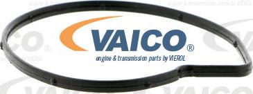 VAICO V30-50005 - Su nasosu furqanavto.az