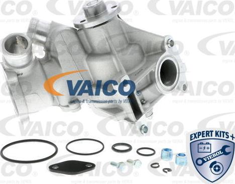 VAICO V30-50015 - Su nasosu furqanavto.az