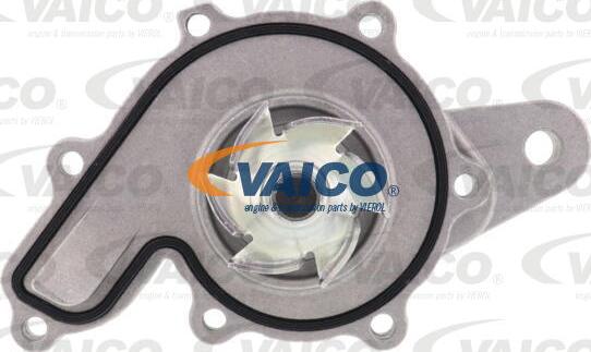 VAICO V30-50087 - Su nasosu furqanavto.az