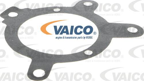 VAICO V30-50033 - Su nasosu furqanavto.az