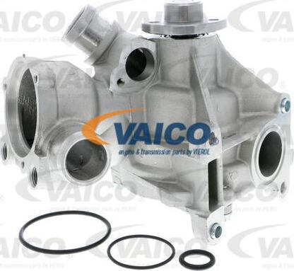 VAICO V30-50029 - Su nasosu furqanavto.az