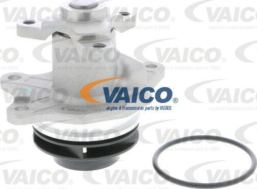 VAICO V30-50025 - Su nasosu furqanavto.az