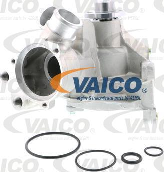 VAICO V30-50079 - Su nasosu furqanavto.az