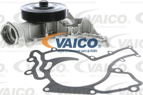 VAICO V30-50070 - Su nasosu furqanavto.az
