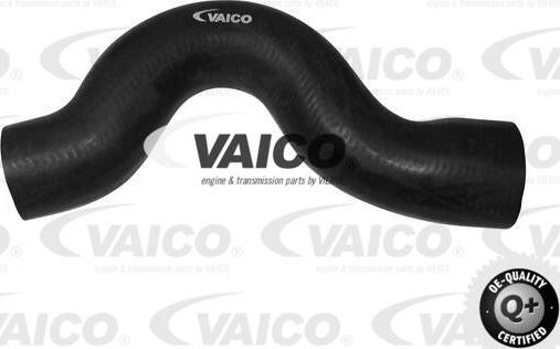 VAICO V30-0226 - Radiator şlanqı furqanavto.az
