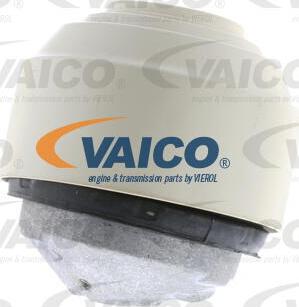 VAICO V30-0761 - Tutacaq, mühərrik montajı furqanavto.az