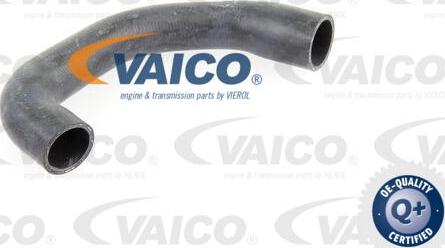 VAICO V30-0731 - Radiator şlanqı furqanavto.az