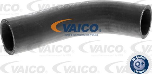 VAICO V30-0737 - Radiator şlanqı furqanavto.az
