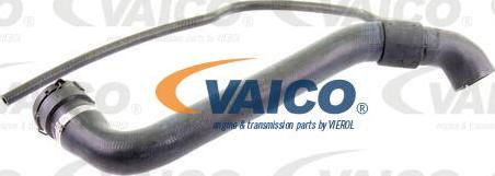 VAICO V30-1456 - Radiator şlanqı furqanavto.az