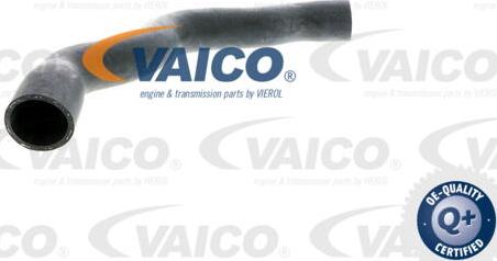 VAICO V30-1575 - Radiator şlanqı furqanavto.az