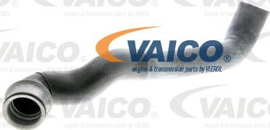 VAICO V30-1650 - Radiator şlanqı furqanavto.az