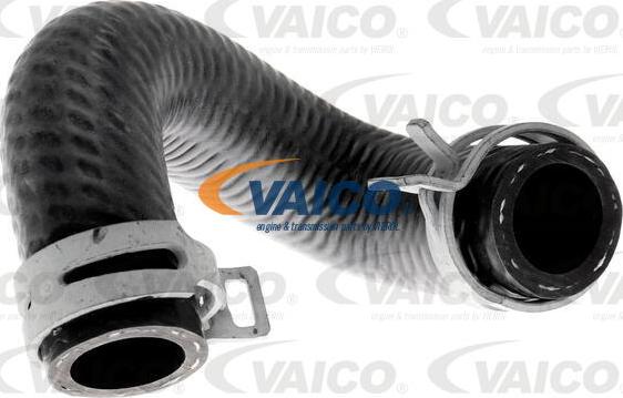 VAICO V30-1096 - Radiator şlanqı furqanavto.az