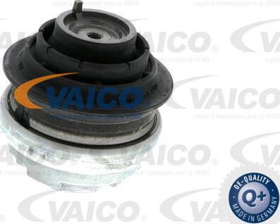 VAICO V30-1113-1 - Tutacaq, mühərrik montajı furqanavto.az