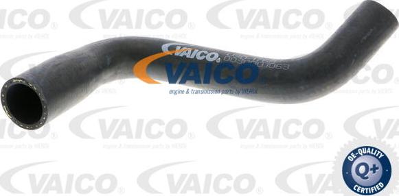 VAICO V30-1768 - Radiator şlanqı furqanavto.az