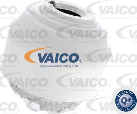 VAICO V30-8191 - Tutacaq, mühərrik montajı furqanavto.az