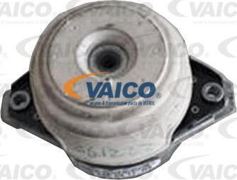 VAICO V30-3581 - Tutacaq, mühərrik montajı furqanavto.az