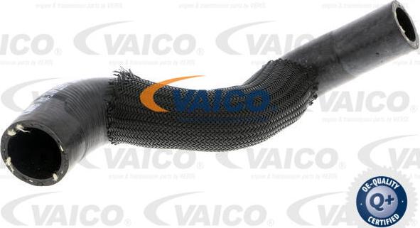 VAICO V30-3149 - Radiator şlanqı www.furqanavto.az