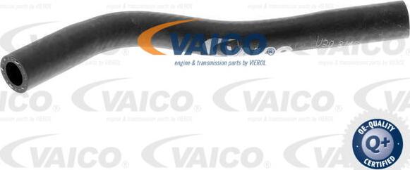 VAICO V30-3146 - Radiator şlanqı furqanavto.az